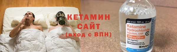 стаф Верея